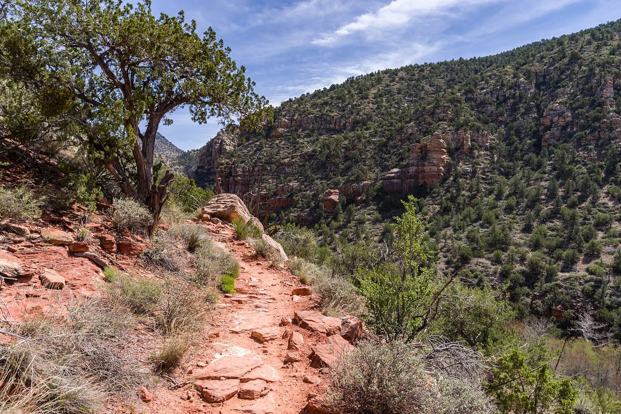 Bell Trail, Rimrock