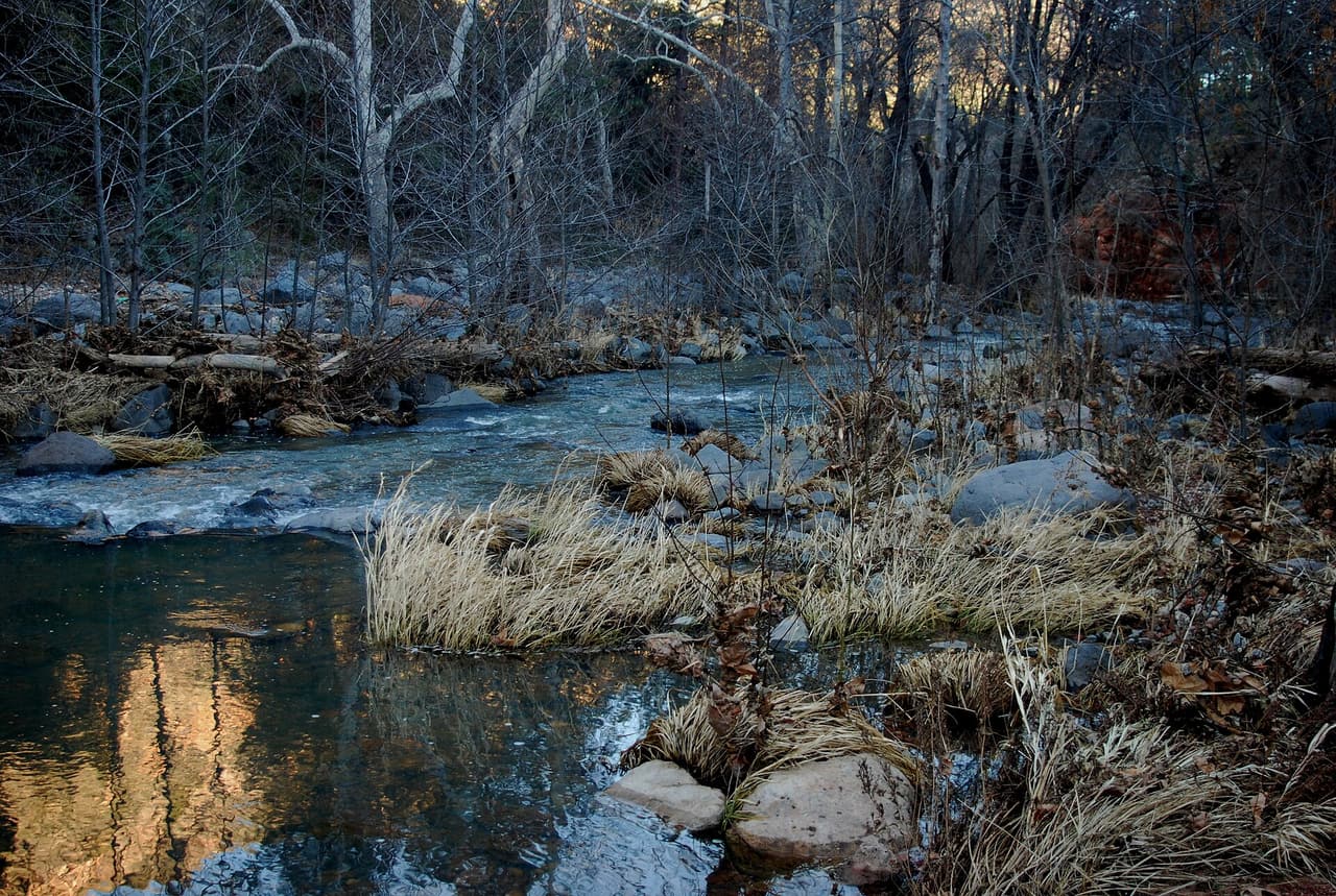 MANZANITA., Sedona