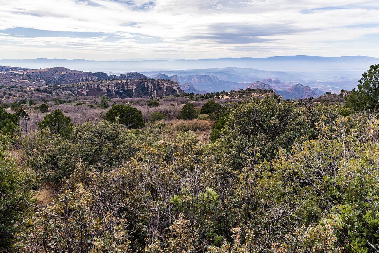 Munds Mountain Trail, Sedona
