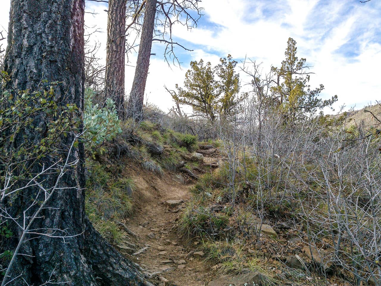 North Wilson Trail, Sedona