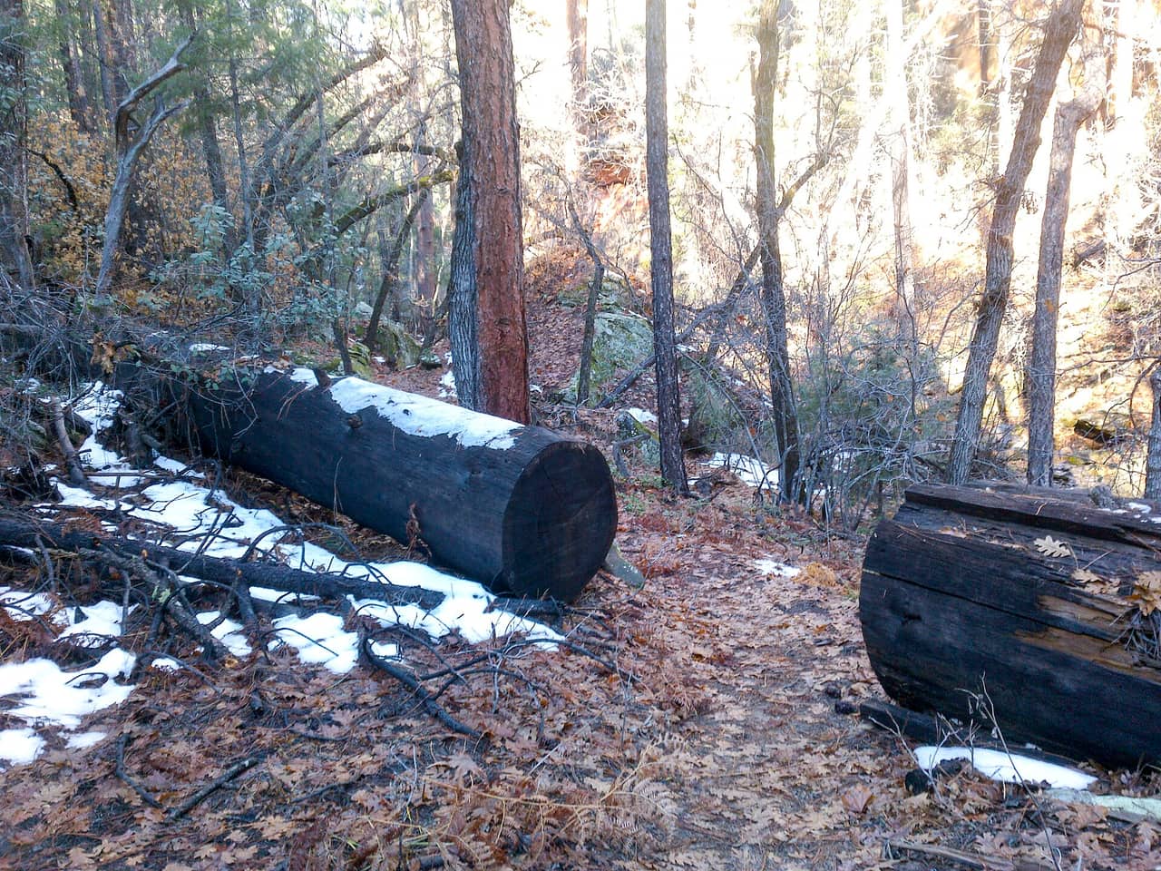 Secret Canyon Trail, Sedona
