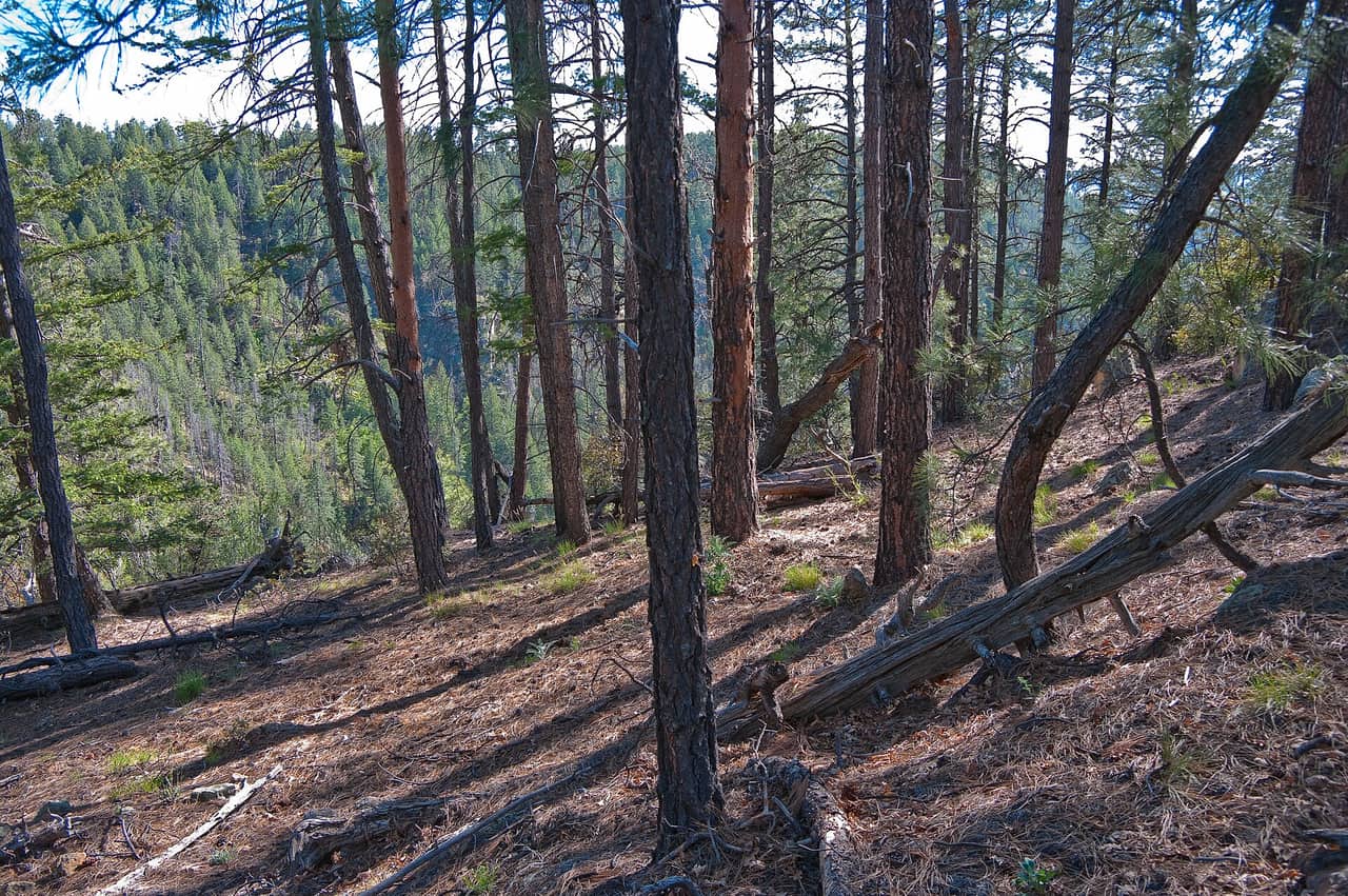 Secret Mountain Trail, Sedona