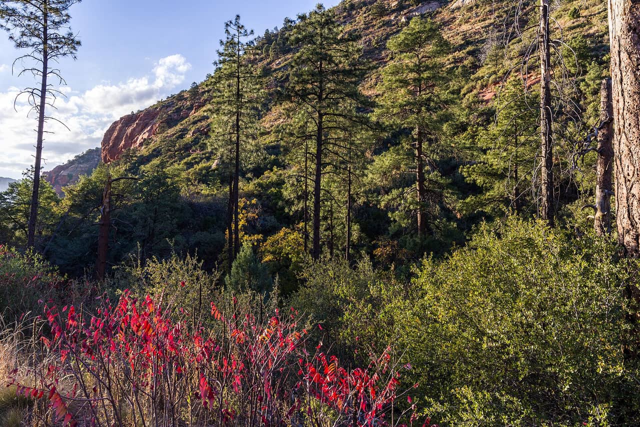Vultee Arch Trail, Sedona