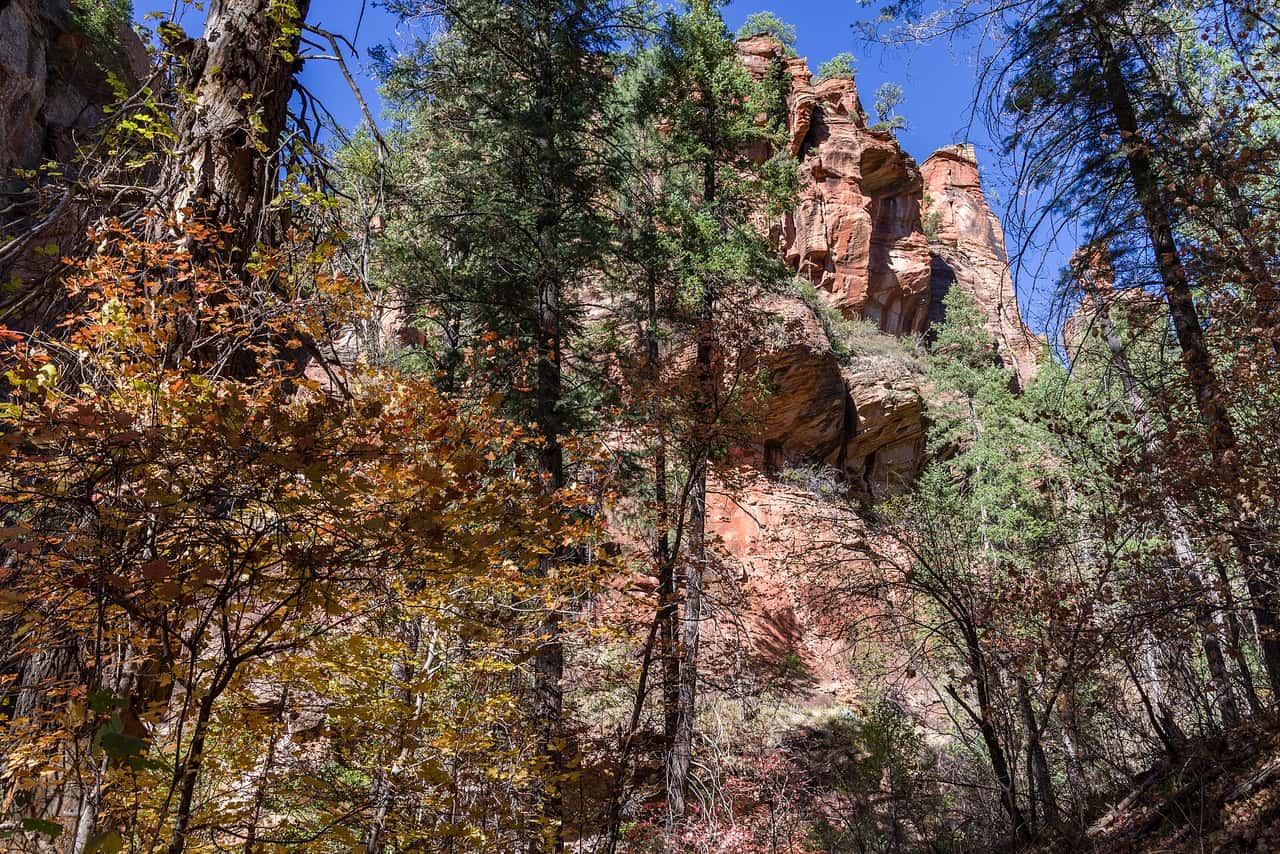 West Fork Trail, Sedona