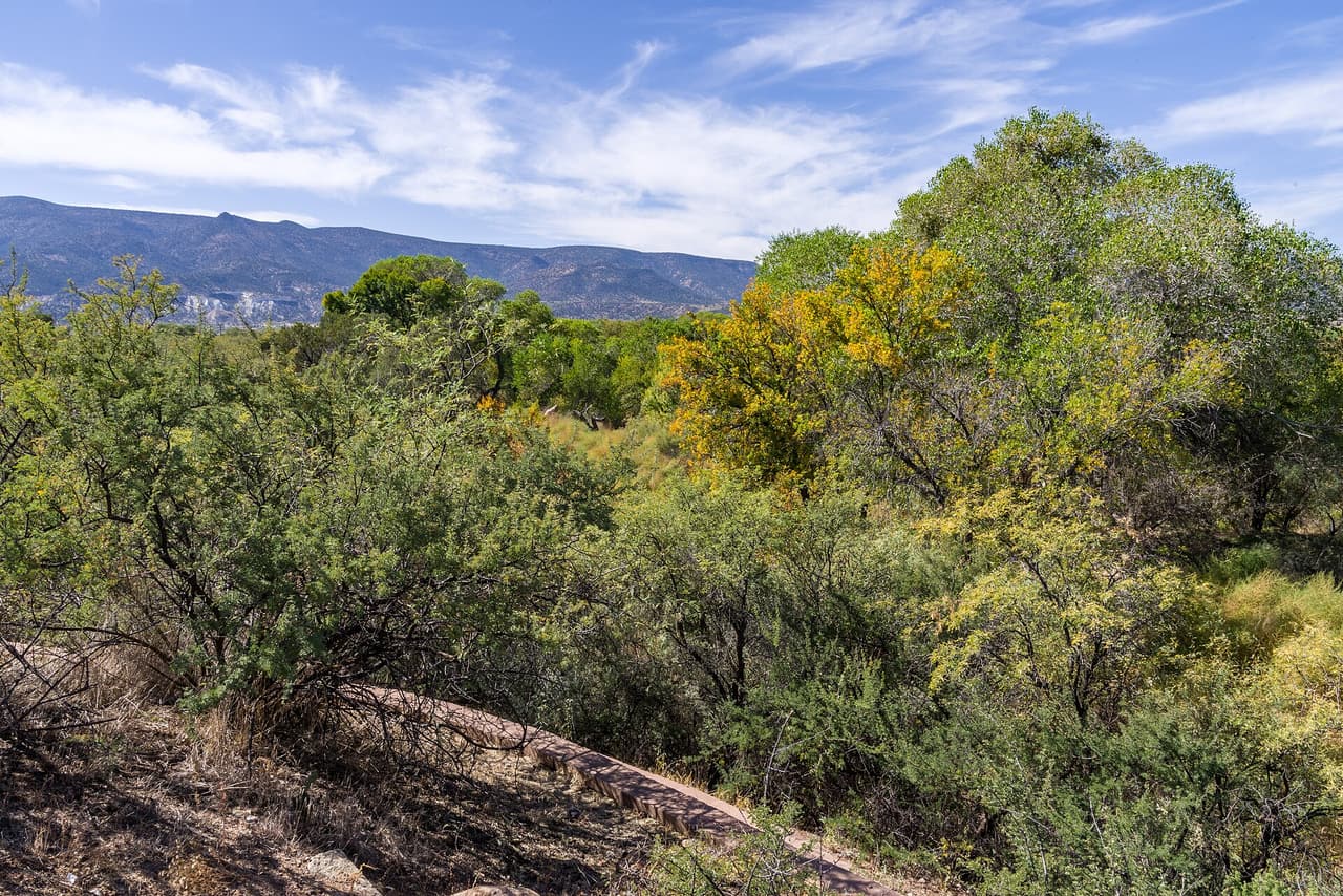 White Bridge Trail, Camp Verde