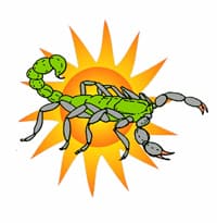 Logo of Arizona Bug Co