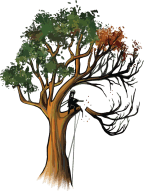 Logo of Climb It High Tree Experts