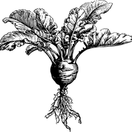 Logo of EDEN