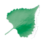 Logo of Goldenstein Gallery