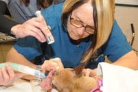 Logo of Jerome Humane Society
