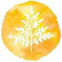 Logo of Rise Resource Center