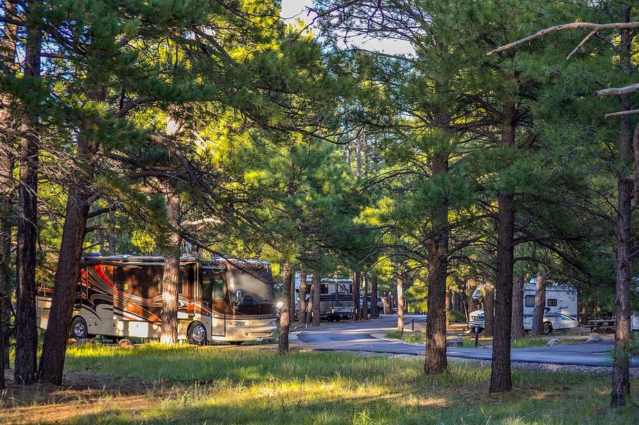 Campsites under tall ponderosa pines