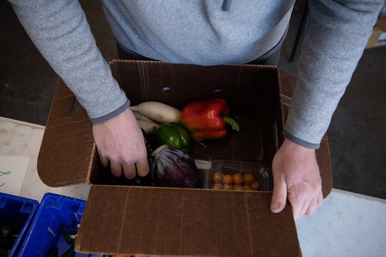 Hands packing a box of fresh vegetables